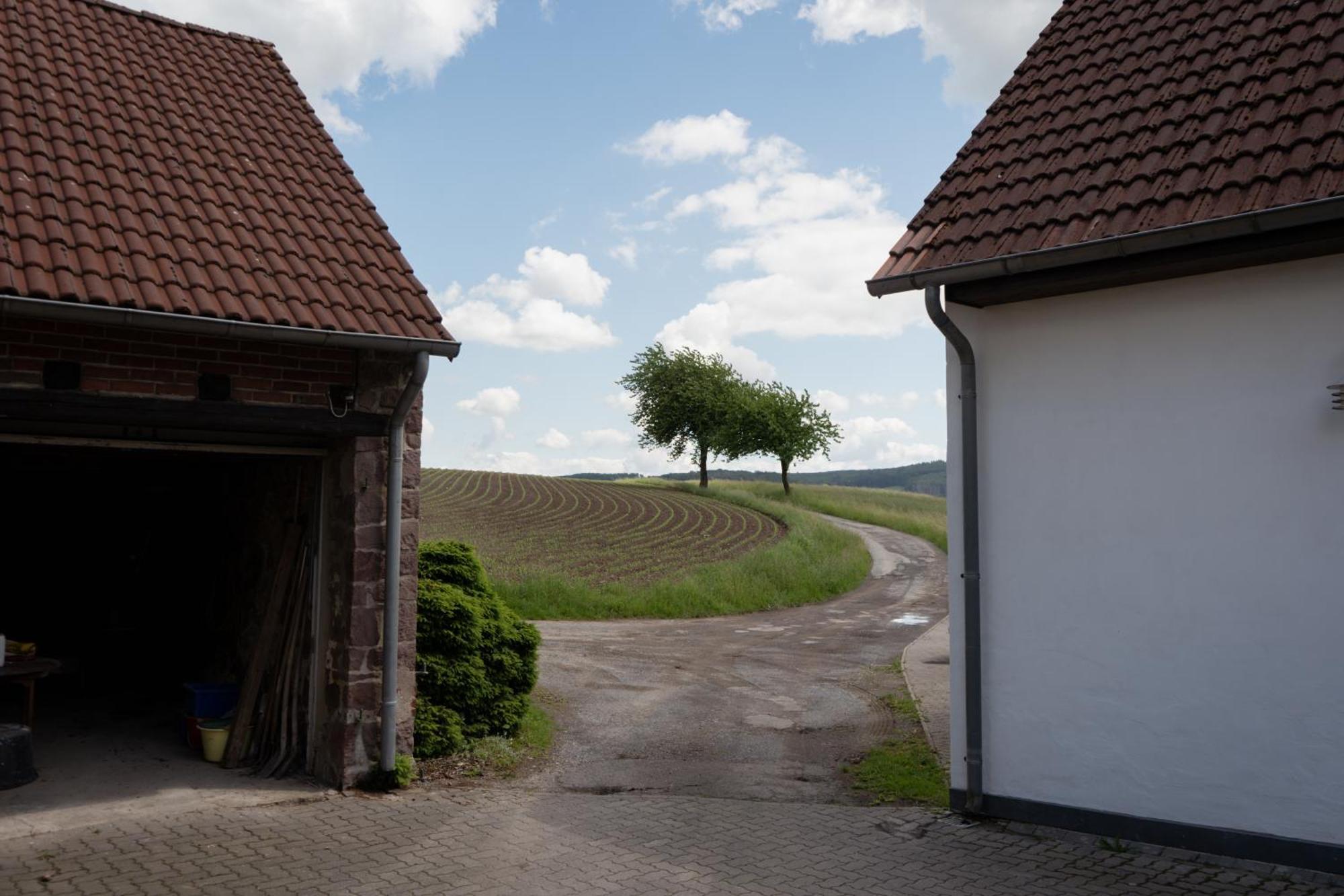 Idyllische Ferienwohnung Im Kalletal Eksteriør billede